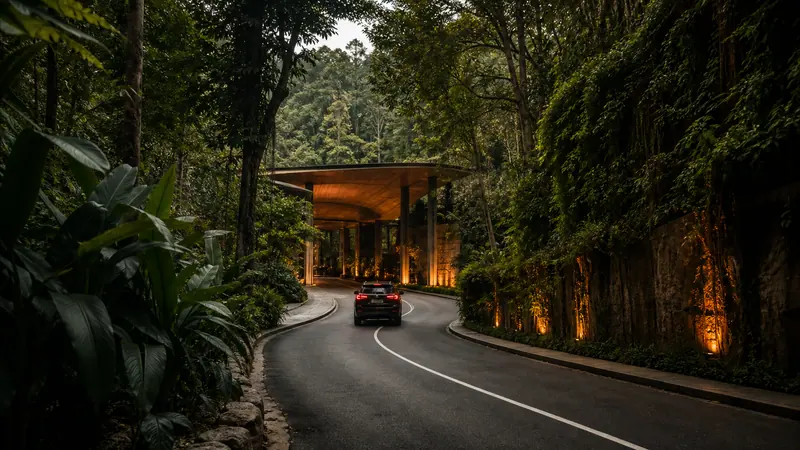 A car following a tropical road toward a zoo entrance